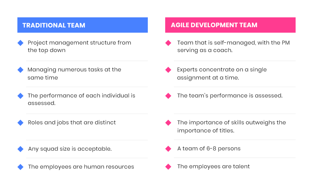 Dedicated Software Development Team will follow Agile guidelines